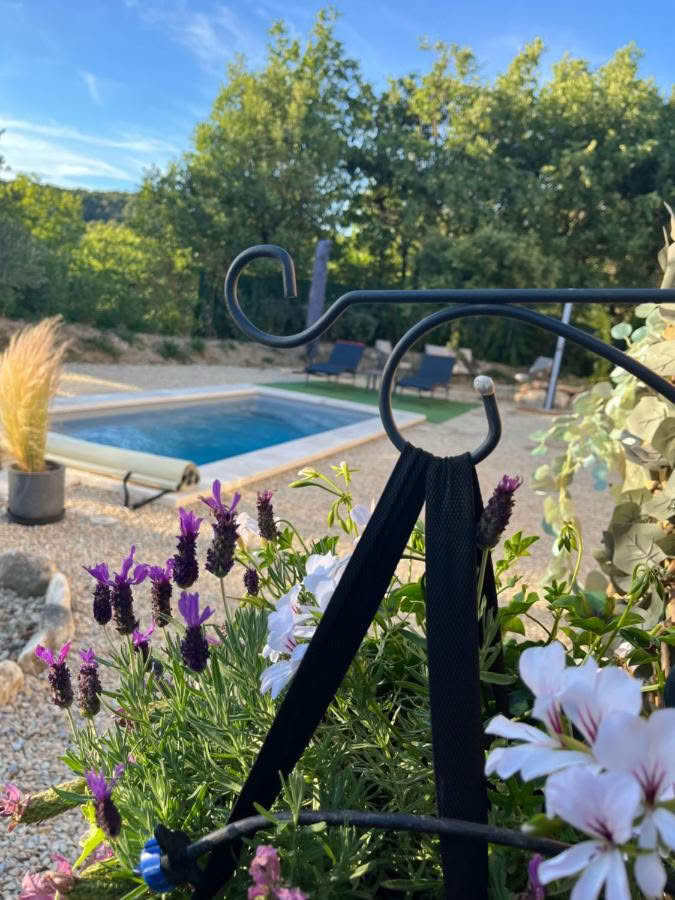 Piscine privative avec fleur séjour typique du Luberon